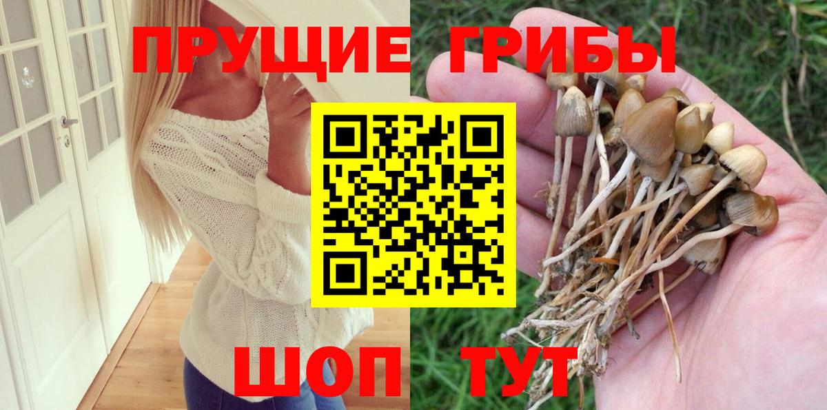 Учалы  Галлюциногенные грибы GOLDEN TEACHER  Вход с VPN  Галлюциногенные грибы Psilocybe 